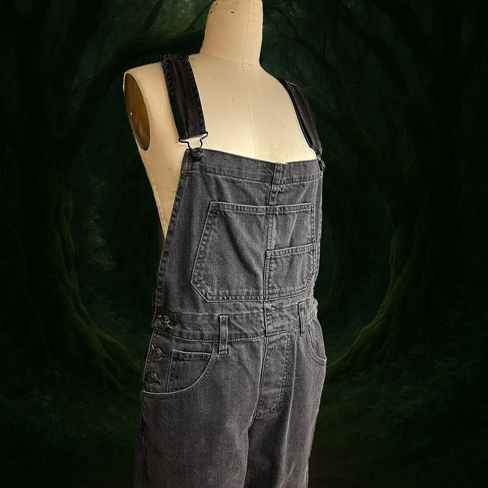 We The Free Ziggy Slouchy Overalls - Picture 2 of 7